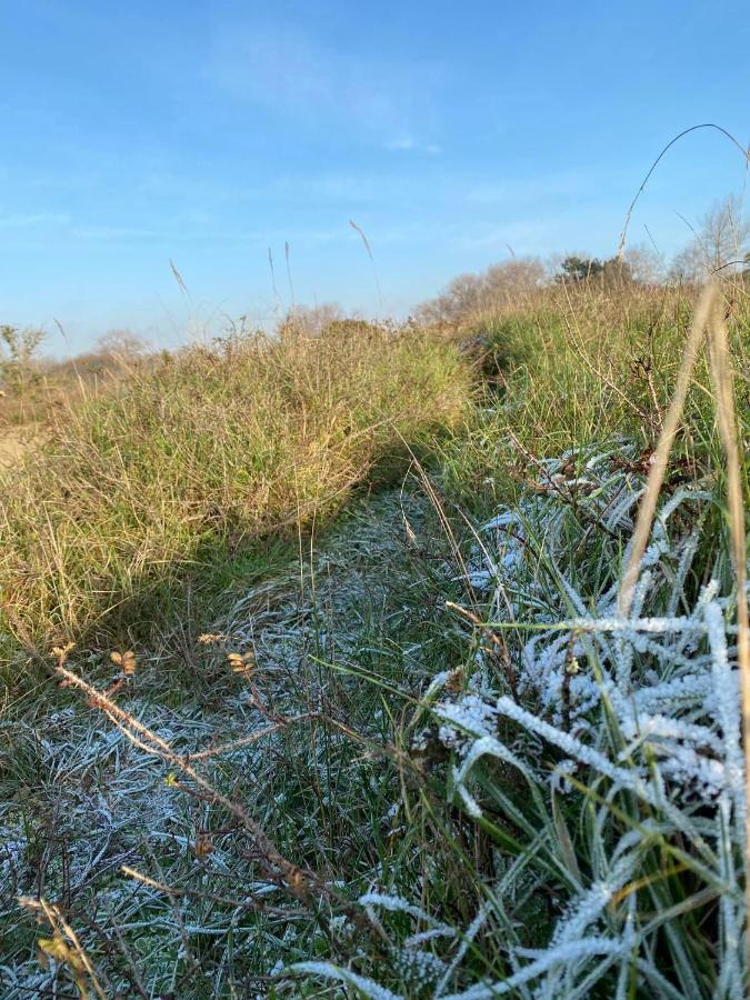 Vakantiehuisje38 Koksijde Exteriér fotografie